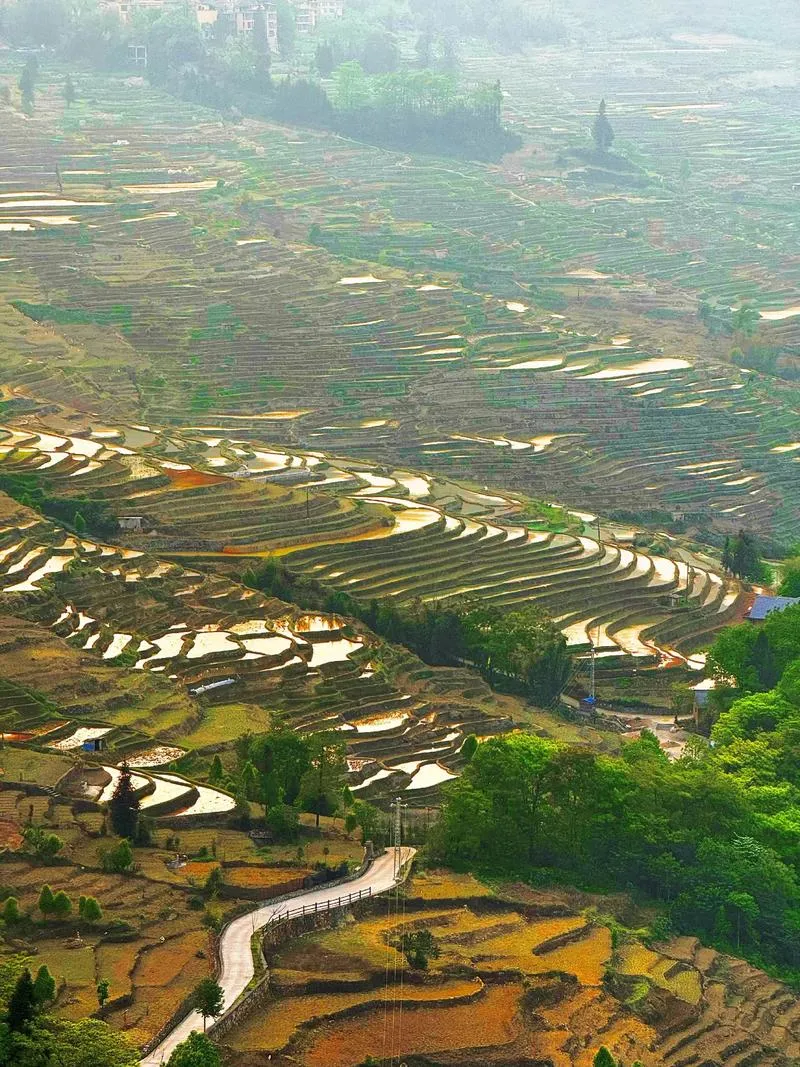 云南省元阳县全域旅游开发有限公司并购项目可行性研究咨询项目